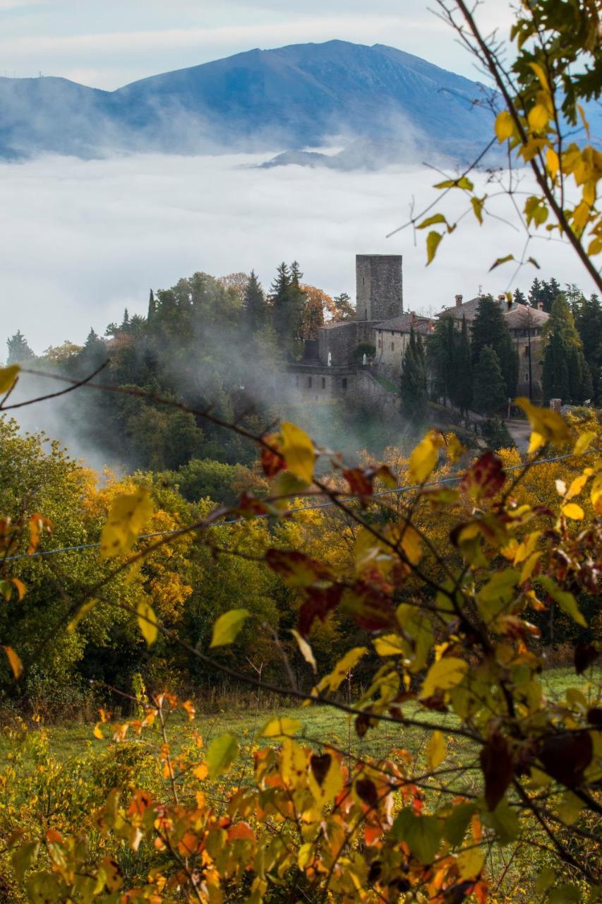 Castello Di Petroia Dimora D'Epoca Hotel Губио Екстериор снимка